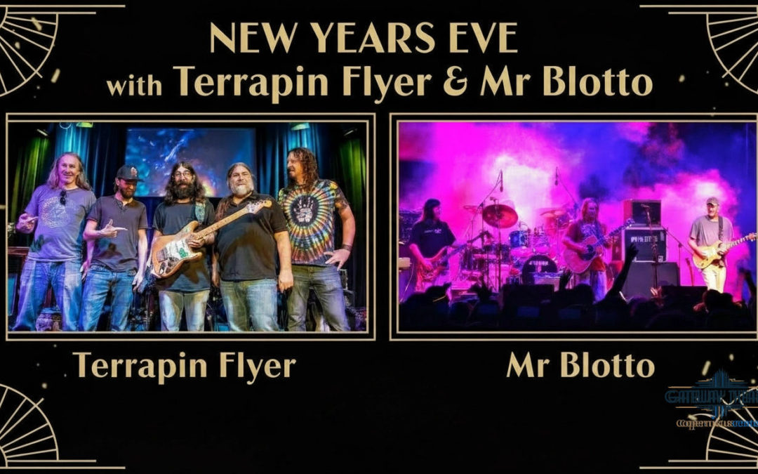 mr blotto & Terrapin Flyer New Years Eve 2025